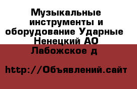 Музыкальные инструменты и оборудование Ударные. Ненецкий АО,Лабожское д.